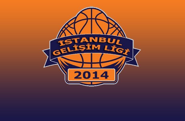 FİNSPOR GELİŞİM LİGİ 2013-2014 SEZONU DERECELERİ